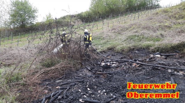 Flaechenbrand Radweg Rosenberg 25_04_17 (4)